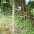 Cow field fence